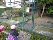 Výlet do ZOO Chleby a Labyrintária Loučeň